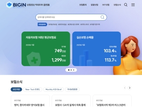 BIGIN 보험정보 빅데이터 플랫폼 인증 화면